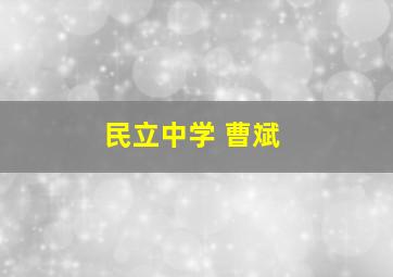 民立中学 曹斌